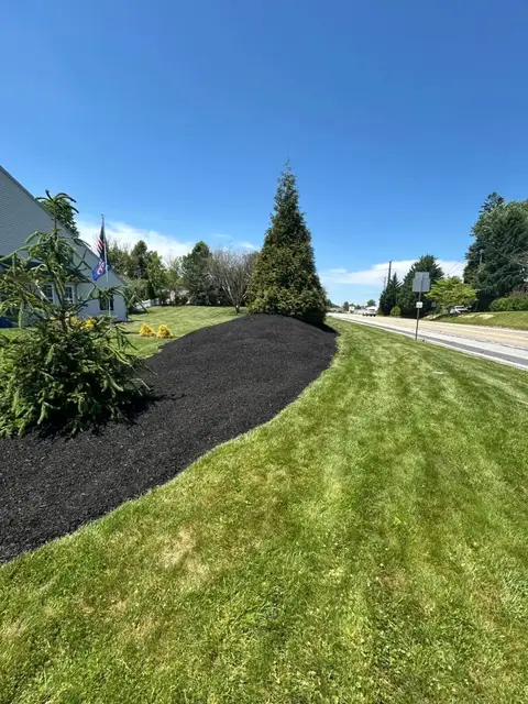 Beautifully maintained lawn